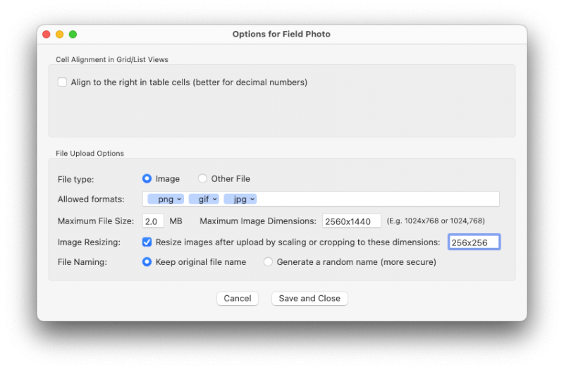 Field options in CodeIgniter 2.0